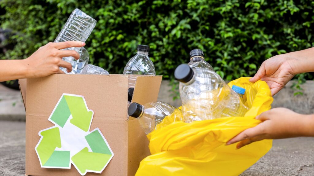 Eco-Friendly Yard Waste Disposal