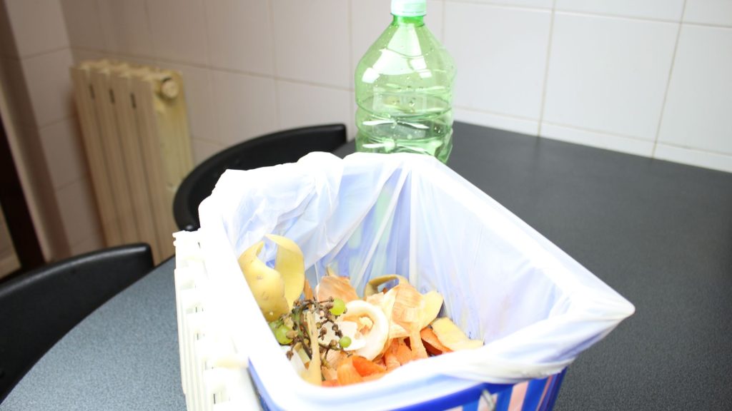 Junk Removal for Restaurants